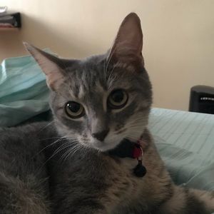 Meet your Posher, Marlyne